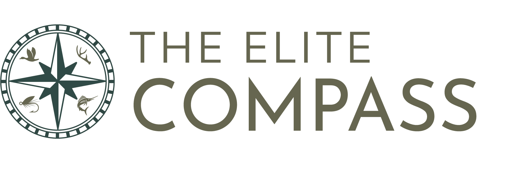 The Elite Compass logo