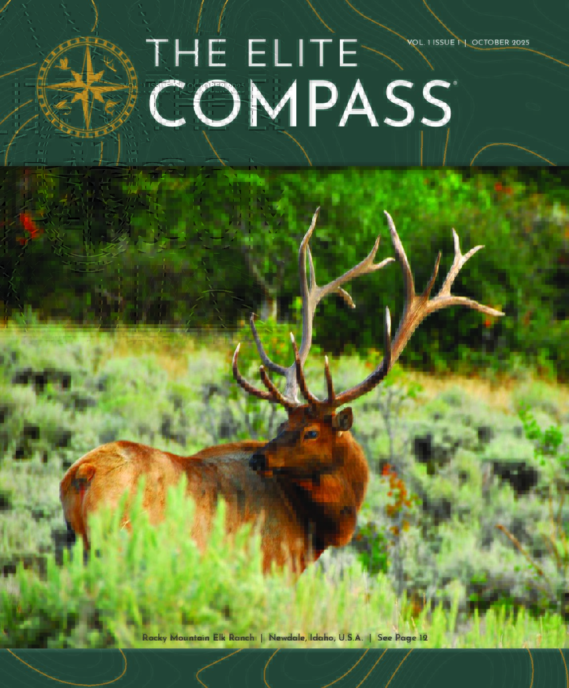 The Elite Compass-NAT-2510d